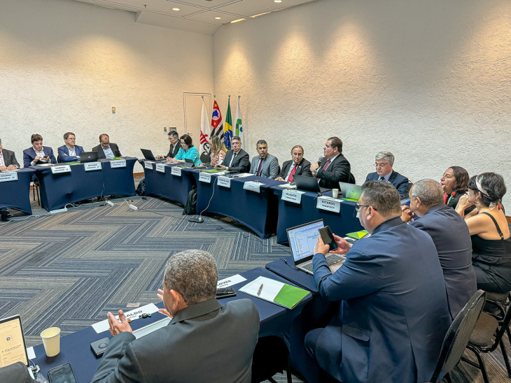 Sindifisco-GO participa da 225ª reunião do CD Fenafisco em São Paulo