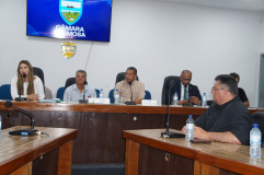 Sindifisco-GO participa de Audiência Pública na Câmara Municipal de Formosa