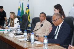 Sindifisco-GO participa de Audiência Pública na Câmara Municipal de Formosa