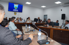 Sindifisco-GO participa de Audiência Pública na Câmara Municipal de Formosa