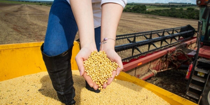 Impulsionado pelo agronegócio e indústria, PIB de Goiás cresce 4,8% e supera média nacional