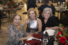 Noite do Auditor-Fiscal 2026: Confira a galeria de fotos